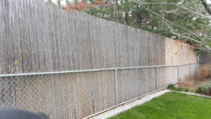 Privacy fence