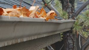 Image of Gutter full of leaves