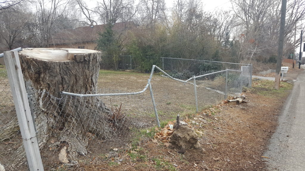 Image of bent fence from heavy tree limbs falling.