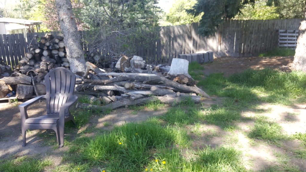 Long branches just piled in a backyard