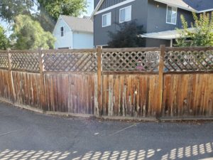 Image of fence before white washing