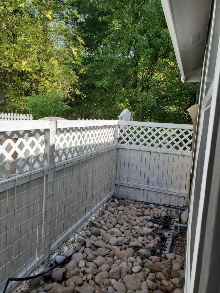 Image of white washed backyard fence