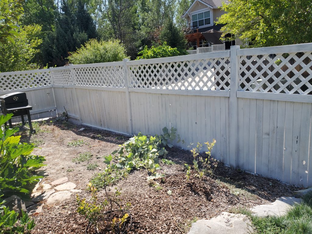 Image of fence after white washing