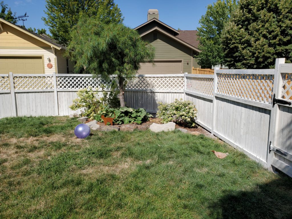 Image of fence after white washing