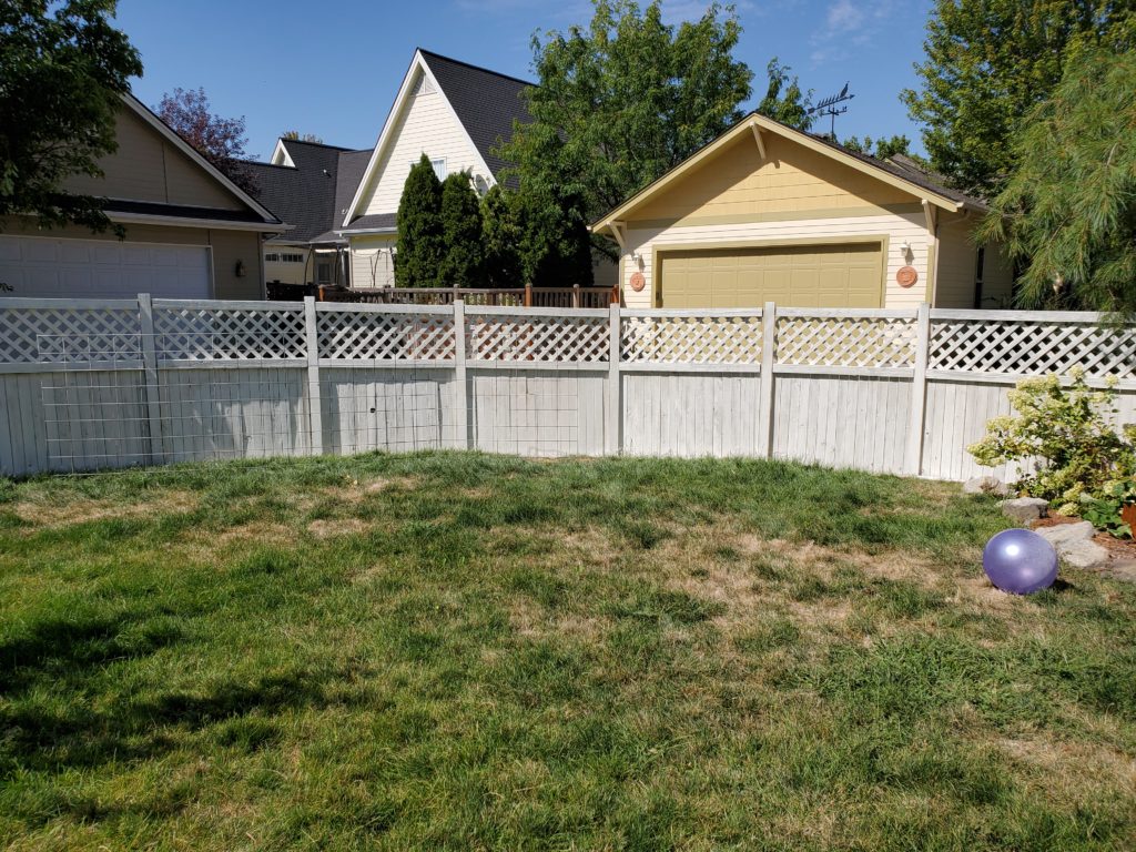 Image of fence after white washing